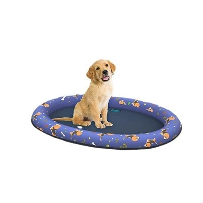 Inflatable Pet Float